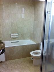 Carissa Park Condominium (D17), Condominium #154157882